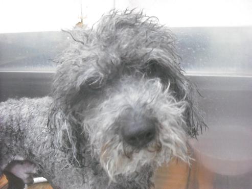 ファイル 3357-2.jpg