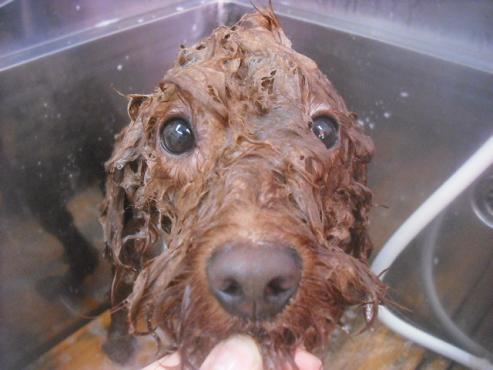 ファイル 3358-2.jpg