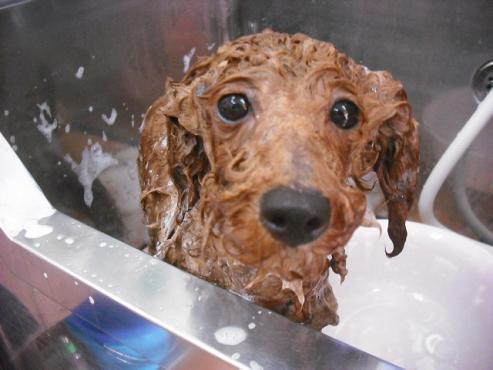 ファイル 336-3.jpg