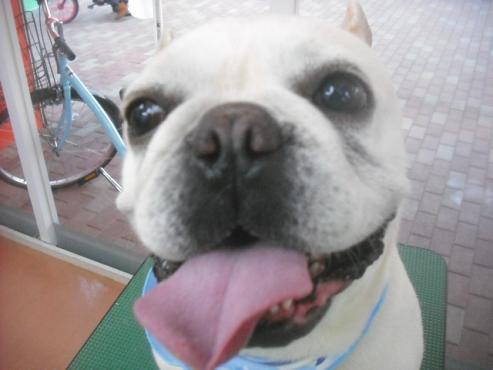 ファイル 3363-1.jpg