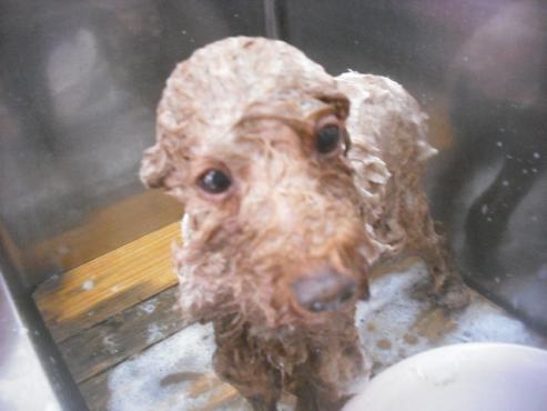 ファイル 3364-2.jpg