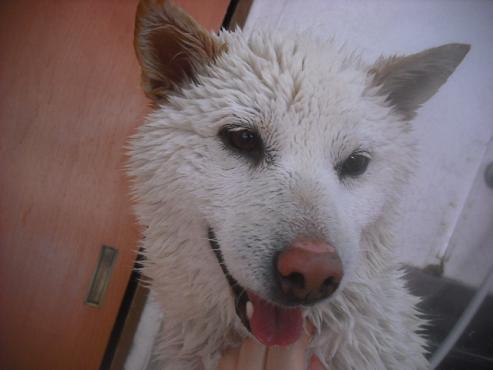 ファイル 3365-2.jpg