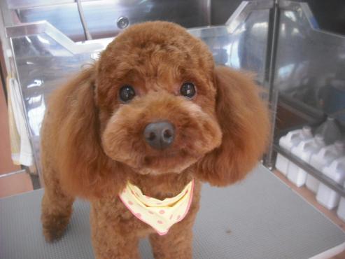 ファイル 3366-1.jpg