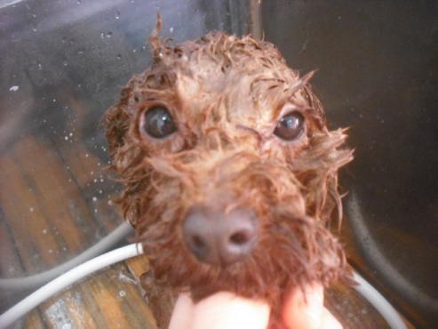 ファイル 3366-2.jpg