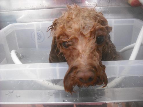 ファイル 3367-2.jpg