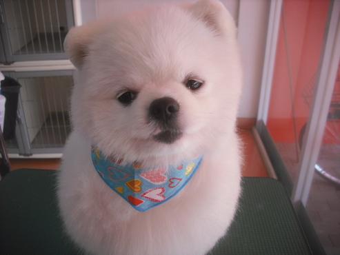 ファイル 3369-1.jpg