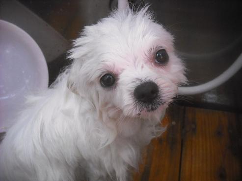 ファイル 3369-2.jpg