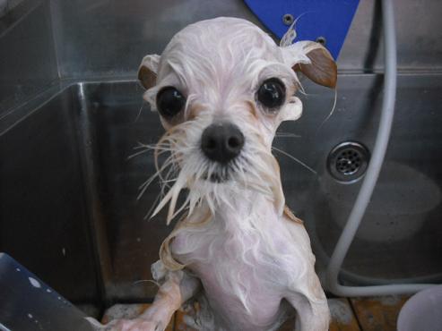 ファイル 337-3.jpg