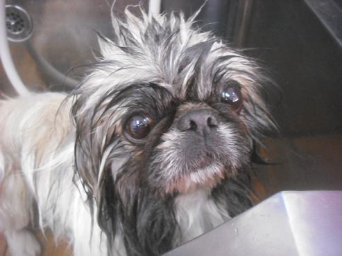 ファイル 3370-2.jpg