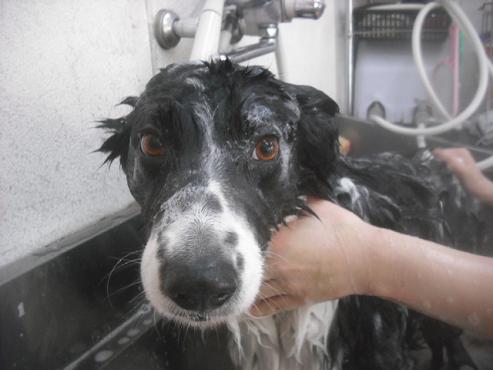 ファイル 3371-2.jpg