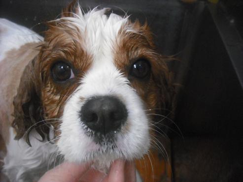 ファイル 3372-2.jpg