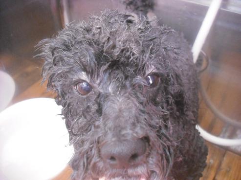 ファイル 3374-2.jpg