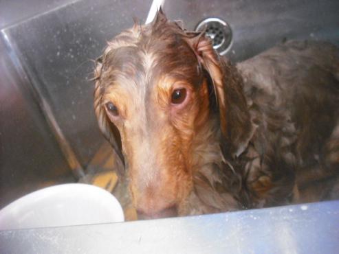 ファイル 3375-2.jpg