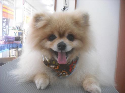 ファイル 3376-1.jpg