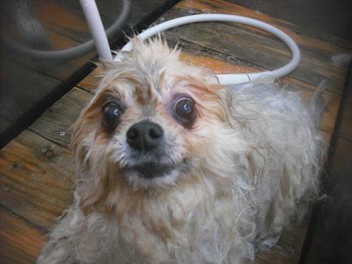 ファイル 3376-2.jpg