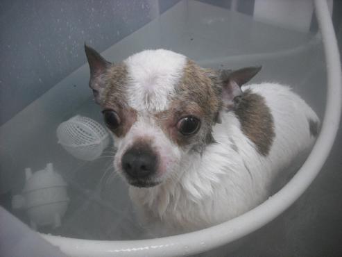 ファイル 3377-2.jpg