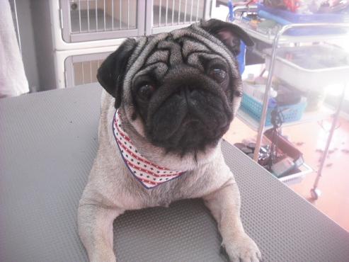 ファイル 3378-1.jpg