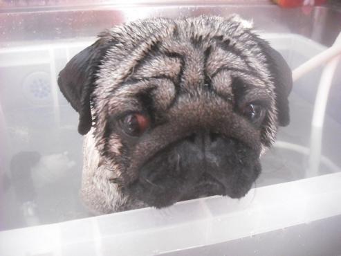 ファイル 3378-2.jpg