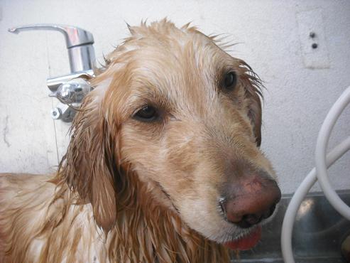 ファイル 338-2.jpg