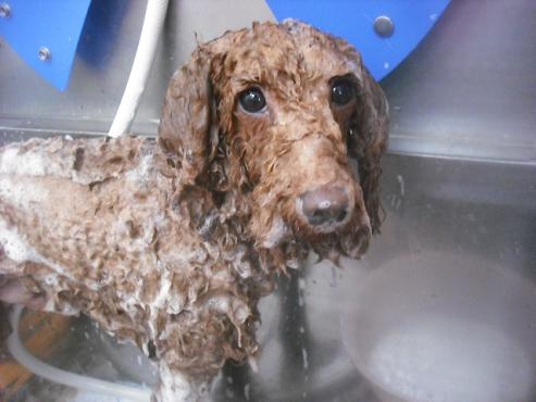 ファイル 3380-2.jpg