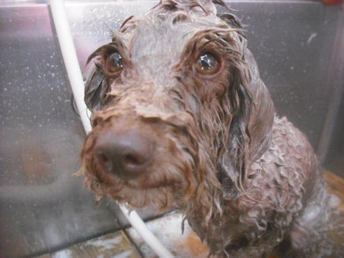 ファイル 3381-2.jpg