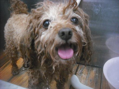 ファイル 3383-2.jpg