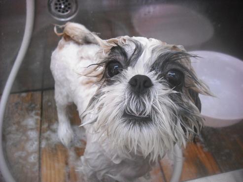 ファイル 3384-2.jpg