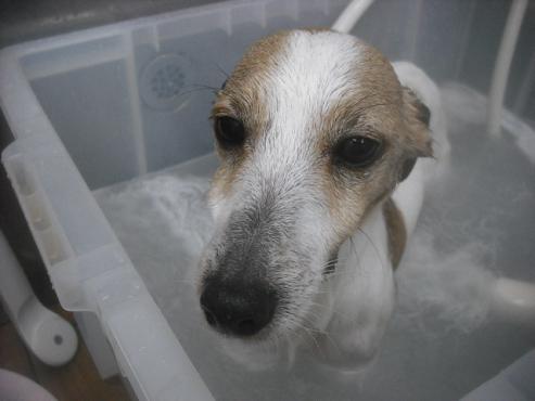 ファイル 3388-1.jpg