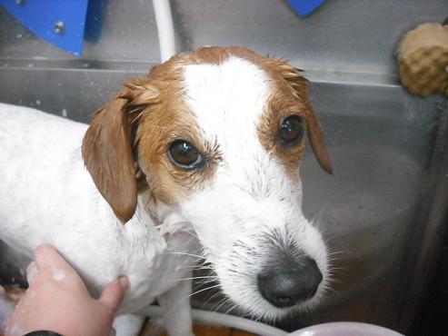 ファイル 339-2.jpg