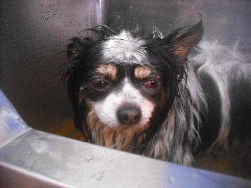 ファイル 3391-1.jpg