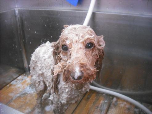 ファイル 3392-1.jpg