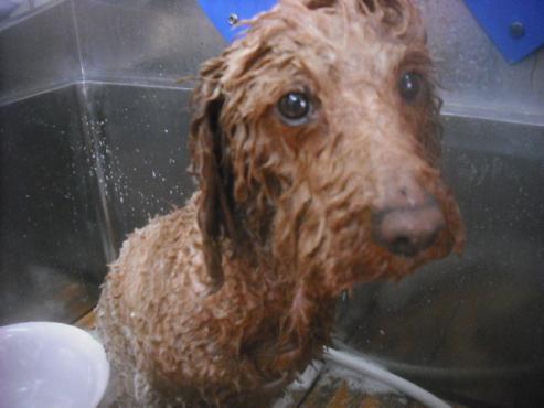 ファイル 3394-1.jpg