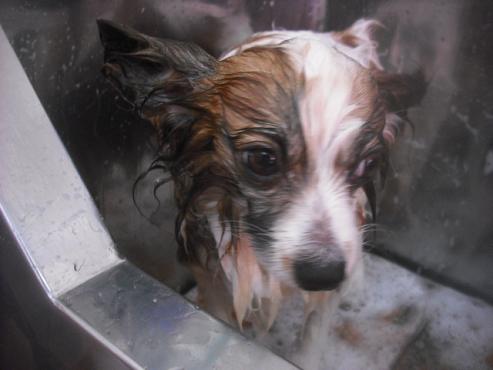 ファイル 3397-1.jpg