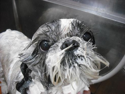 ファイル 34-2.jpg