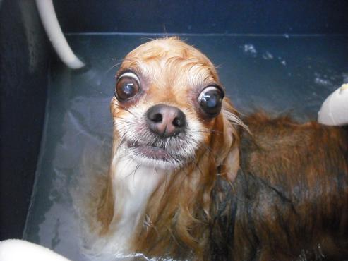 ファイル 340-2.jpg