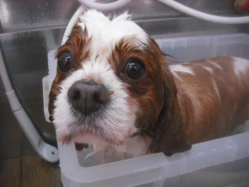 ファイル 3400-1.jpg