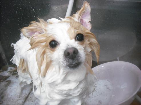 ファイル 3404-1.jpg