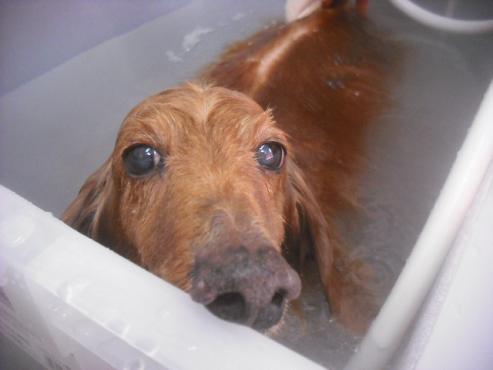 ファイル 3405-1.jpg