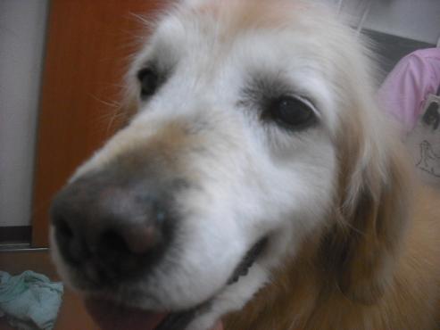 ファイル 3407-1.jpg