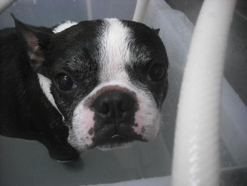 ファイル 3409-1.jpg