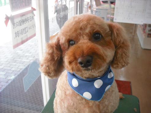 ファイル 341-1.jpg