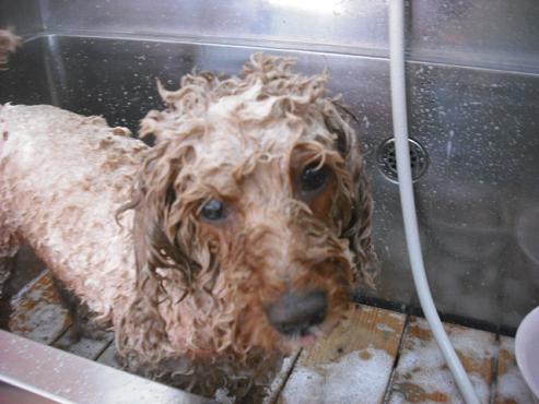 ファイル 341-3.jpg