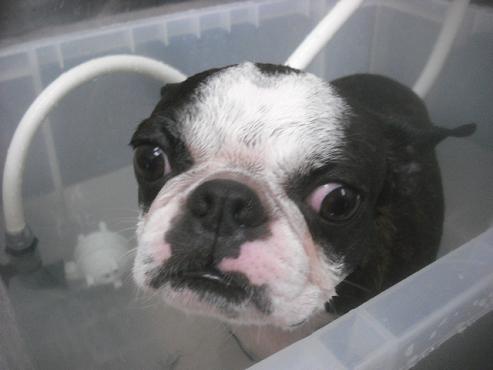 ファイル 3410-1.jpg