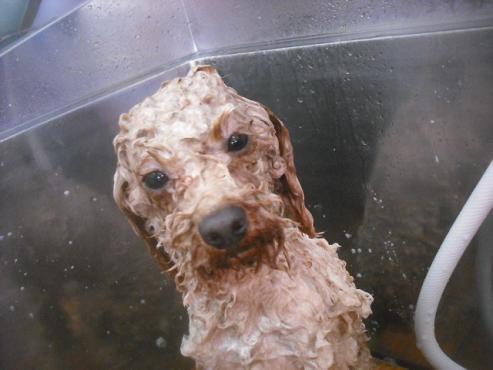 ファイル 3414-1.jpg