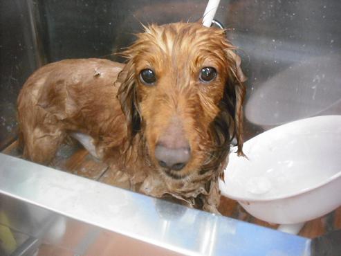 ファイル 3416-1.jpg