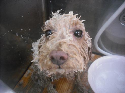 ファイル 3418-1.jpg