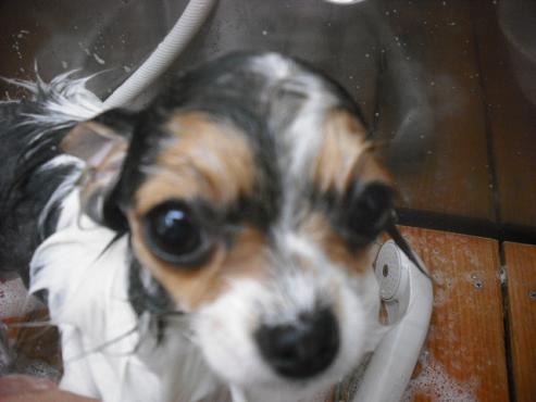 ファイル 342-3.jpg