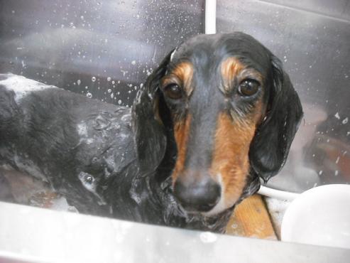 ファイル 3420-1.jpg