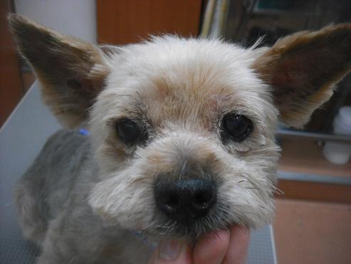 ファイル 3421-1.jpg