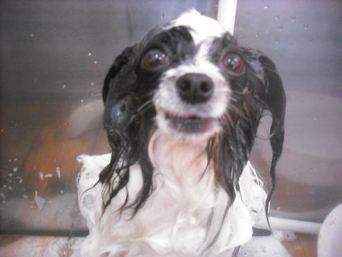 ファイル 3422-1.jpg